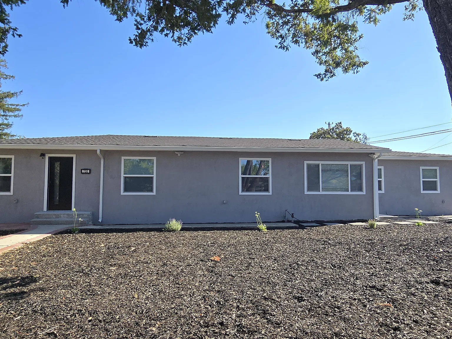 5 bed, 1251 sqft, $4,500 — Photo 3