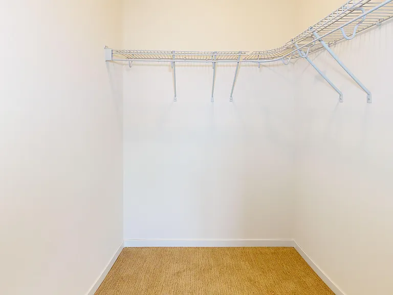 Shooting Star - Secondary Bedroom Closet