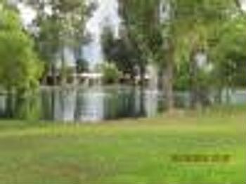 Magnificent View of the Park's Lake