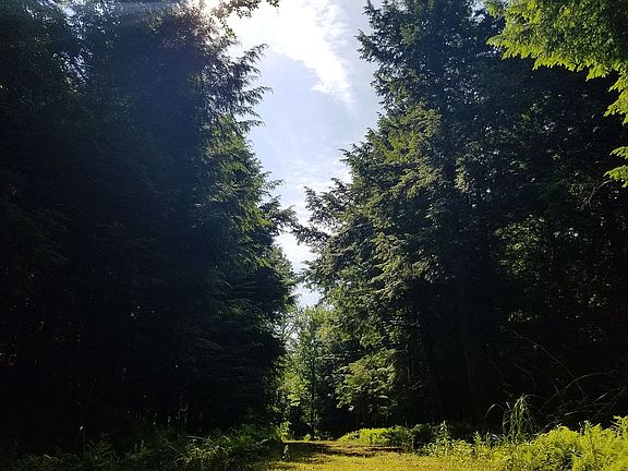 2nd image of LOT-28A Woodland Dr