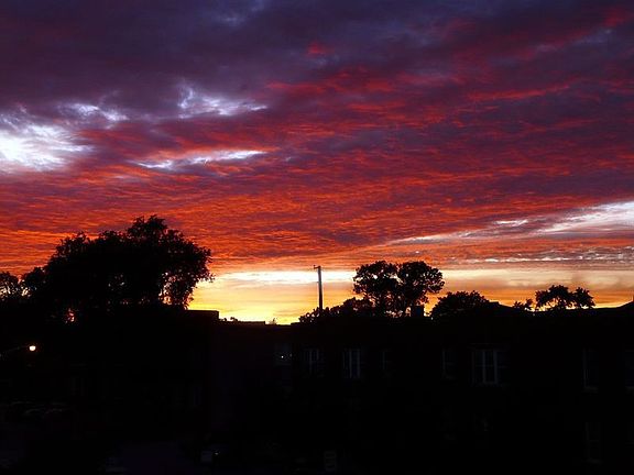 Sunset View
