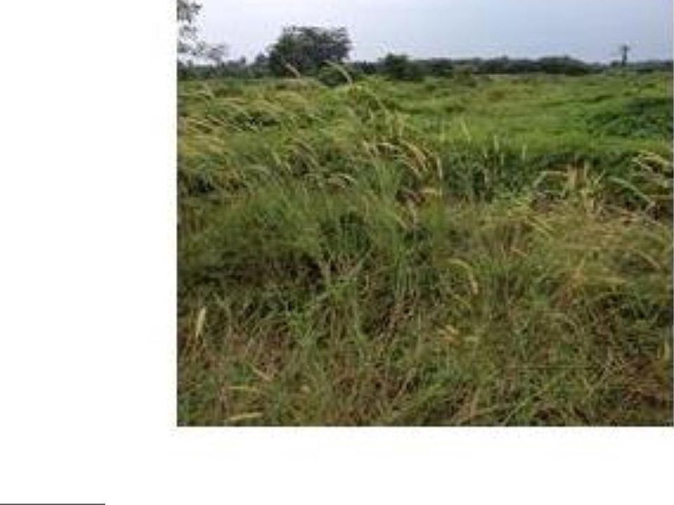 2nd image of 0 Upper Ridge Rd