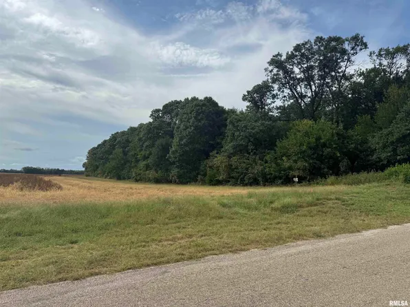 14534 N County Road 2000 E, Havana, IL 62644