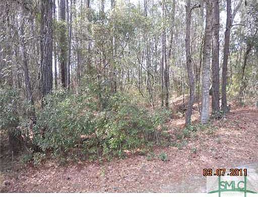1st image of 0 Eagle Neck Drive