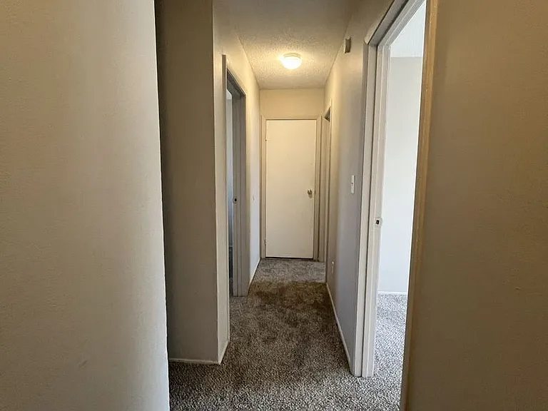 Forest Village Apartments — Photo 6