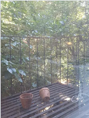 Rented by The Maestro Group | media 30