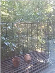 Rented by The Maestro Group