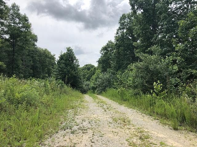 2nd image of 0 Roddy Springs Rd