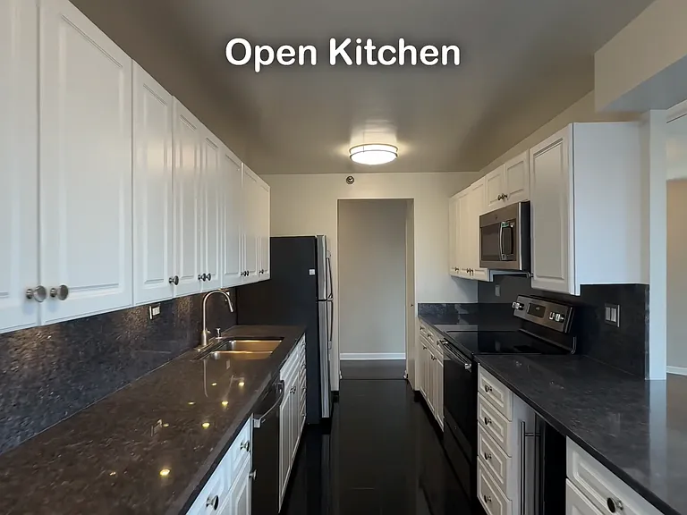 745 N Rush St #3203 — Photo 3
