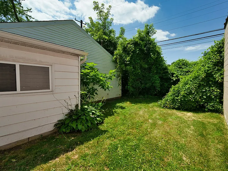 Back yard