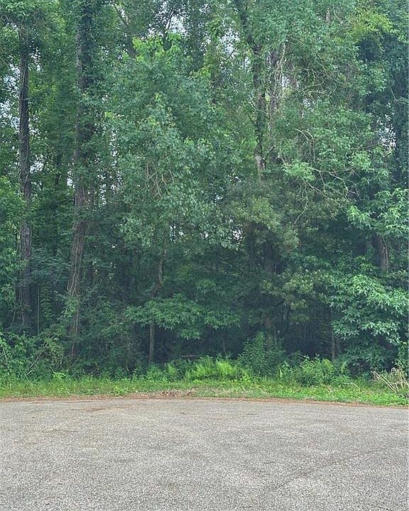 2nd image of 0 Shady Ln
