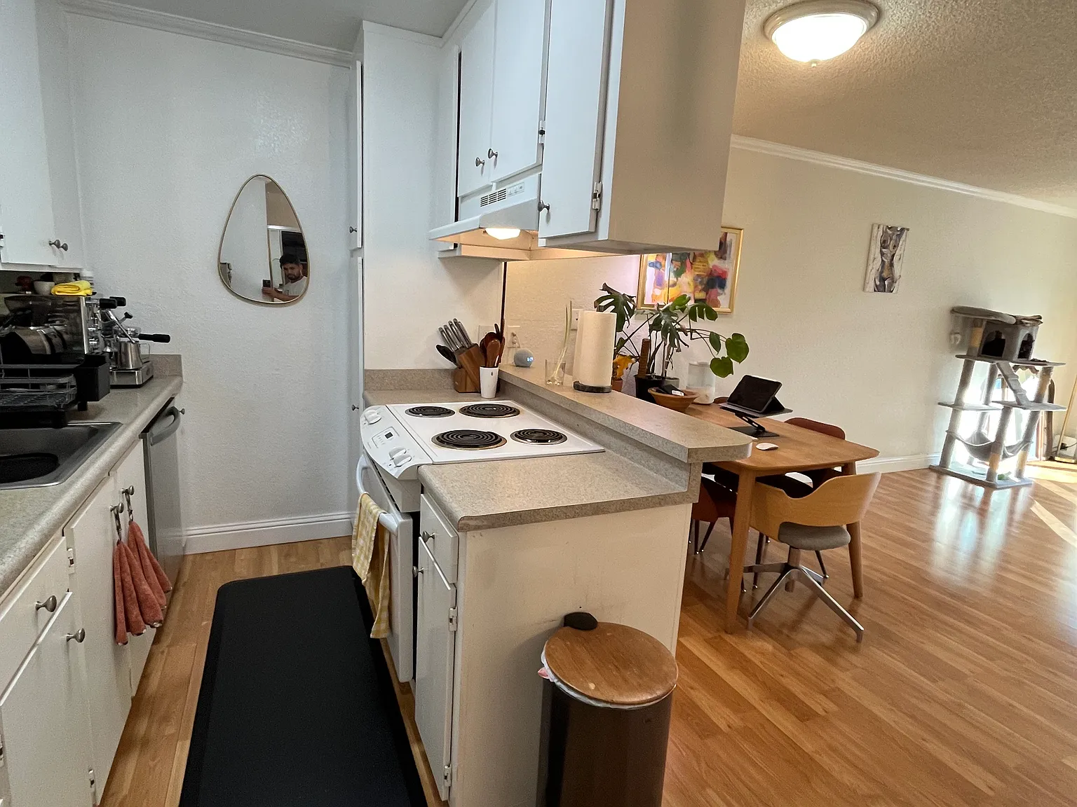 1 bed, 635 sqft, $1,950 — Photo 2
