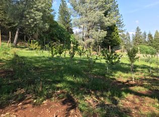 4300 Reynolds Ln, Camino, CA 95709