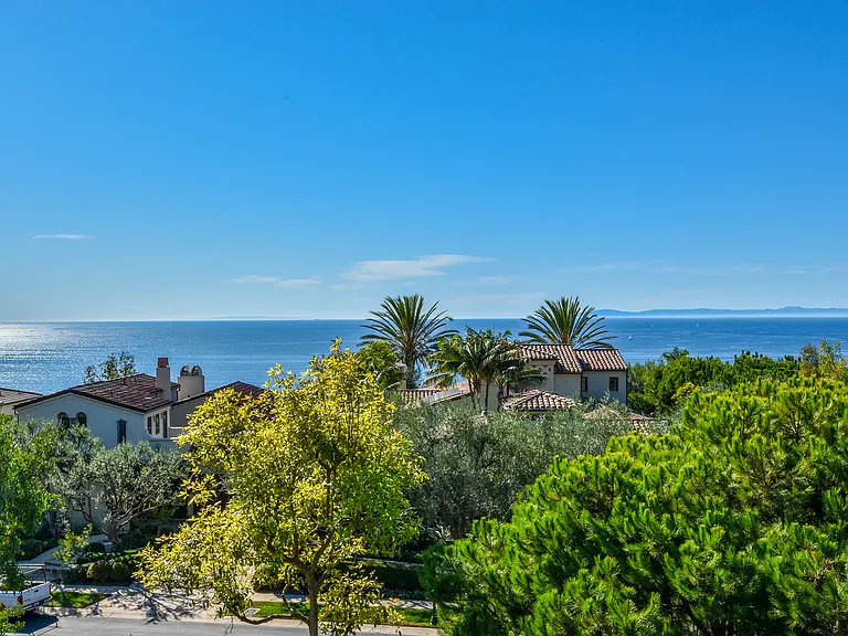 View from the backyard with Catalina Island