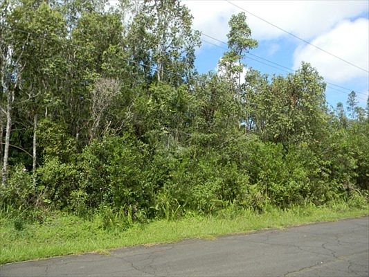 4th image of Puhala Dr Lot 31