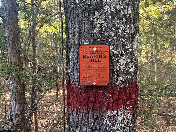 3rd image of 001-00749-000 County Road 146