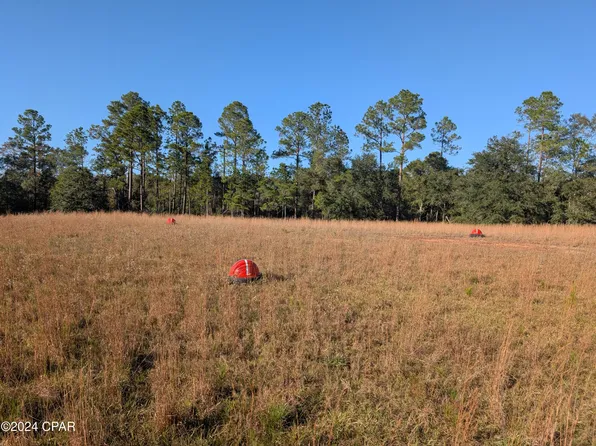 0 Robert Murphy Rd, Bonifay, FL 32425