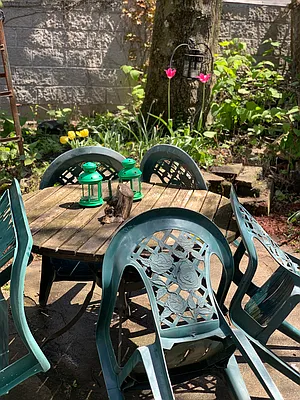 Rented by Owner | media 35