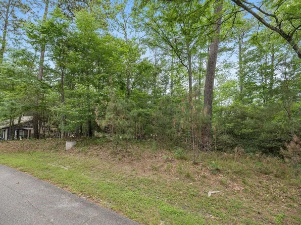 75 S Fairway Loop, Coldspring, TX 77331