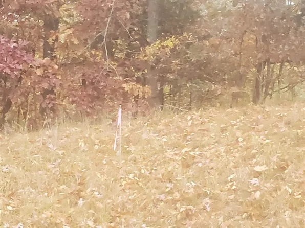 357 & 357D Whitley Way, Eddyville, KY 42038