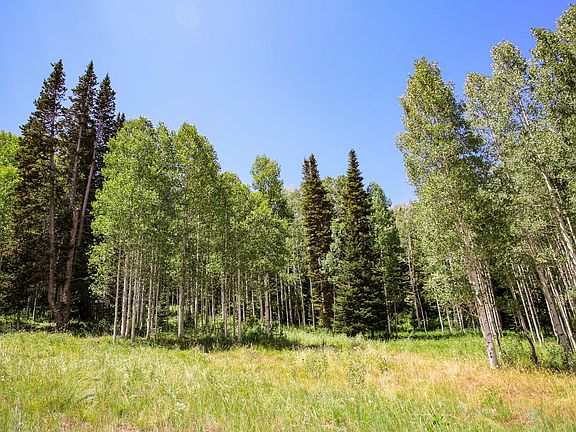 2nd image of 306 White Pine Canyon Rd Lot 306