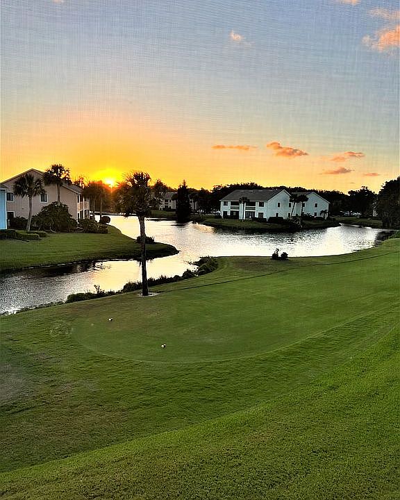View from the lanai. 