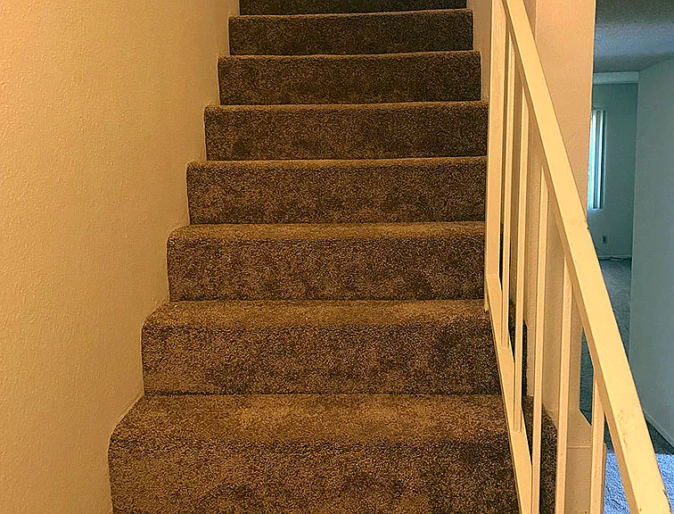 4912 Tujunga Ave #3 — Photo 10
