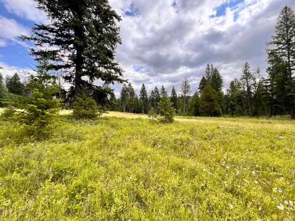 503 Swan Lake Rd, Republic, WA 99166
