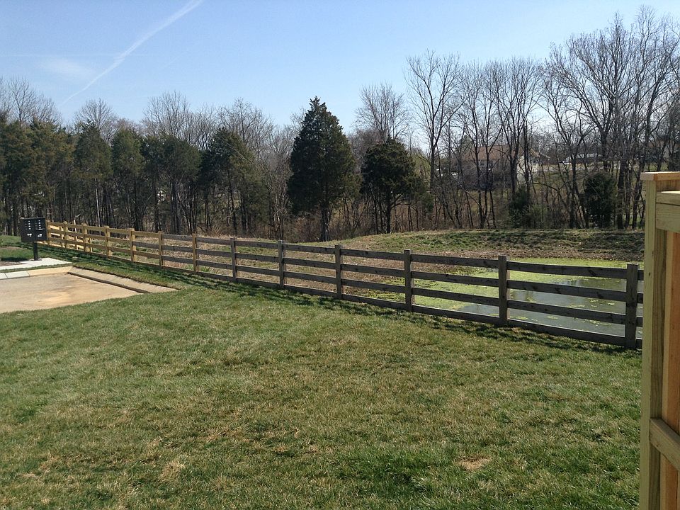 Back yard view 