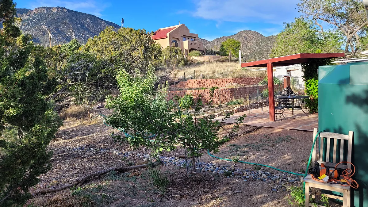 Back garden - 135 Highway 66 E