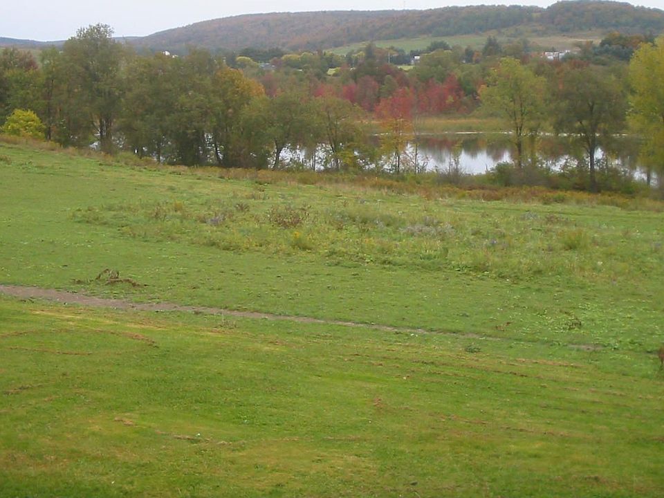 Pasture