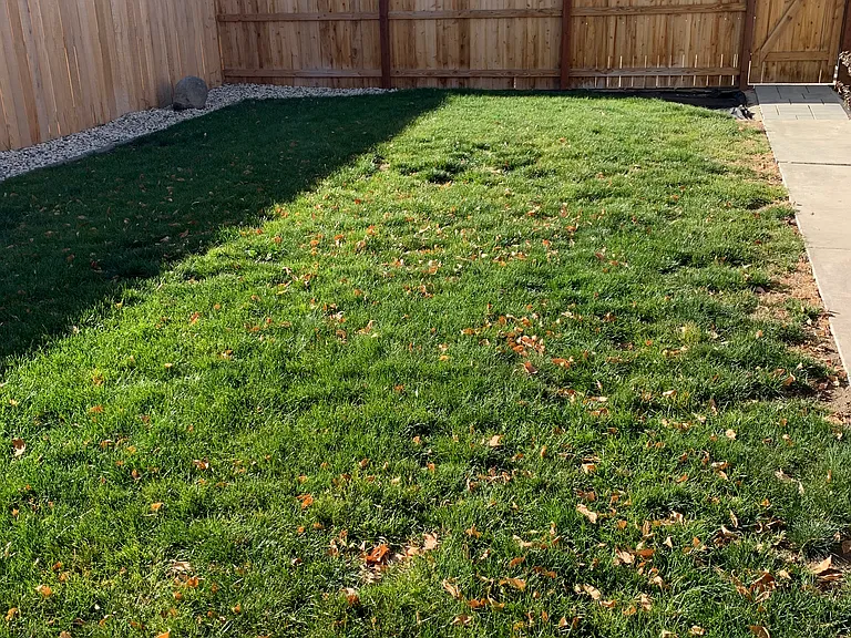 36 Raymond Dr — Photo 22