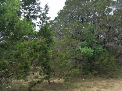 1096 Hackamore Pass, Spring Branch, TX, 78070