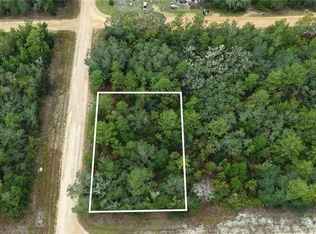 N/A SELMA AVE LOT 19, INTERLACHEN, FL 32148