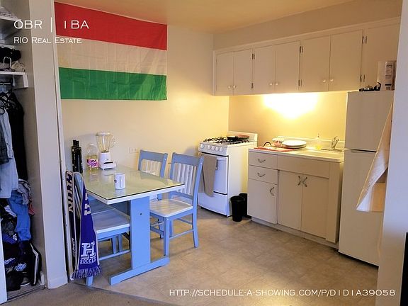 4th image of 1150 N Downing St APT 307