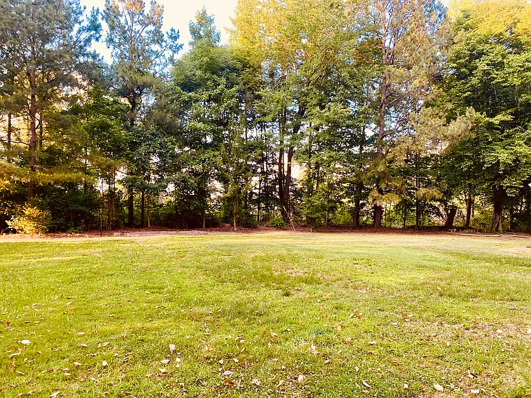 Chippokes Rd — Photo 47