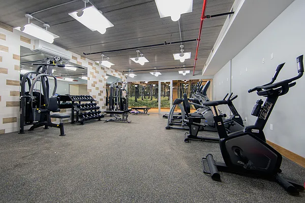 Rented by EXR | media 74