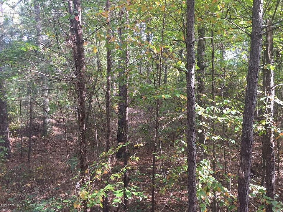2nd image of 5634 Sycamore Dr