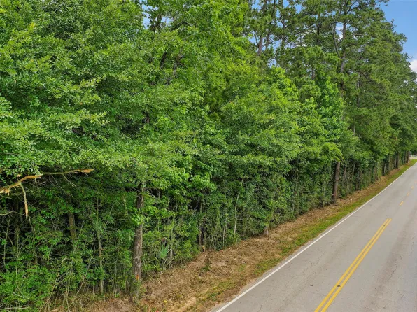 0 Honea Egypt Rd, Montgomery, TX 77316