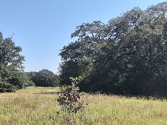 4th image of 1669 County Road 328
