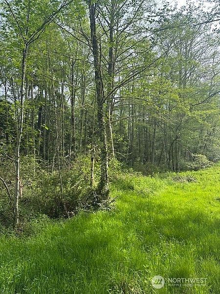5th image of 12 Ander Park Road