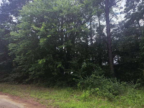 County Road 2131, Quitman, TX 75783