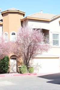 1268 Milano Dr UNIT 7, West Sacramento, CA, 95691