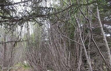 1st image of 58088 Faccio Rd