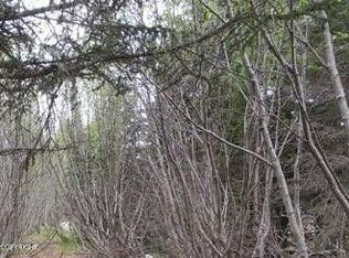 58088 Faccio Rd, Clam Gulch, AK 99568