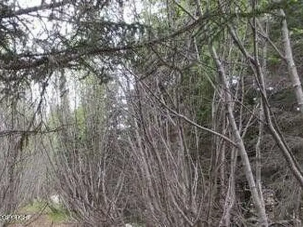 58088 Faccio Rd, Clam Gulch, AK 99568