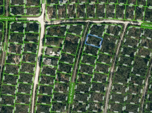 325 Blue Heaven Dr #2, Lake Placid, FL 33852