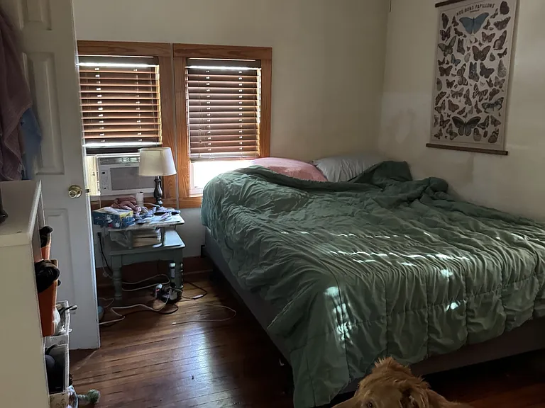 311 S Webster Ave — Photo 5