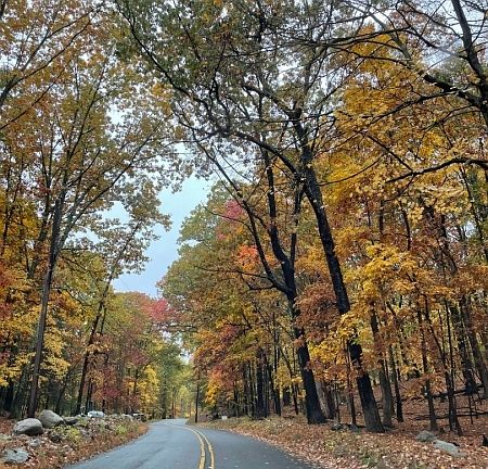 4th image of 924 Middleville Rd