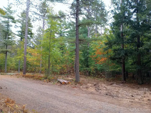 White Pine Lot 4 Way Off Forestville Basin Trl, Marquette, MI 49855